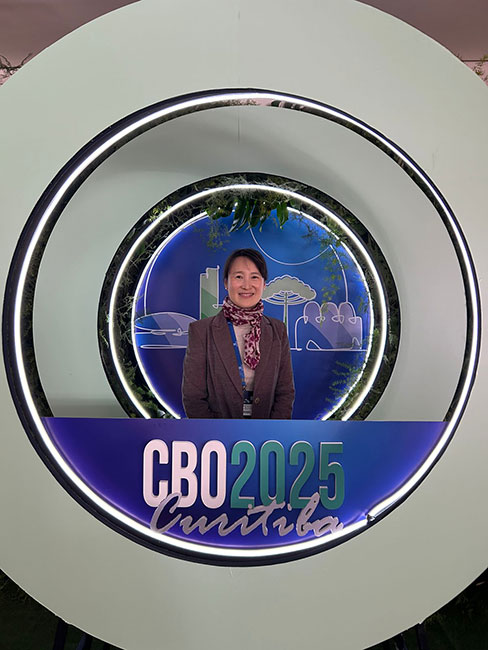 cbo 2025 03